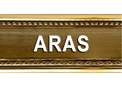 ARAS SERİSİ